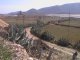 Los Albaricoques