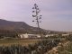 Los Albaricoques