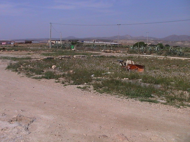 Los Albaricoques