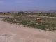 Los Albaricoques