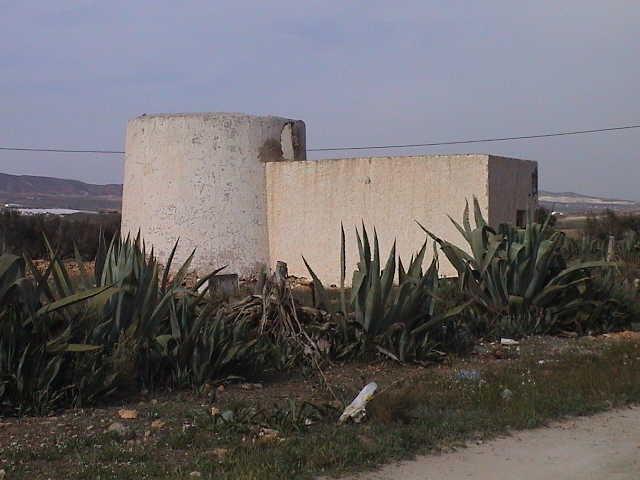 Los Albaricoques