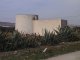 Los Albaricoques