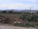 Los Albaricoques