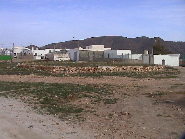 Los Albaricoques